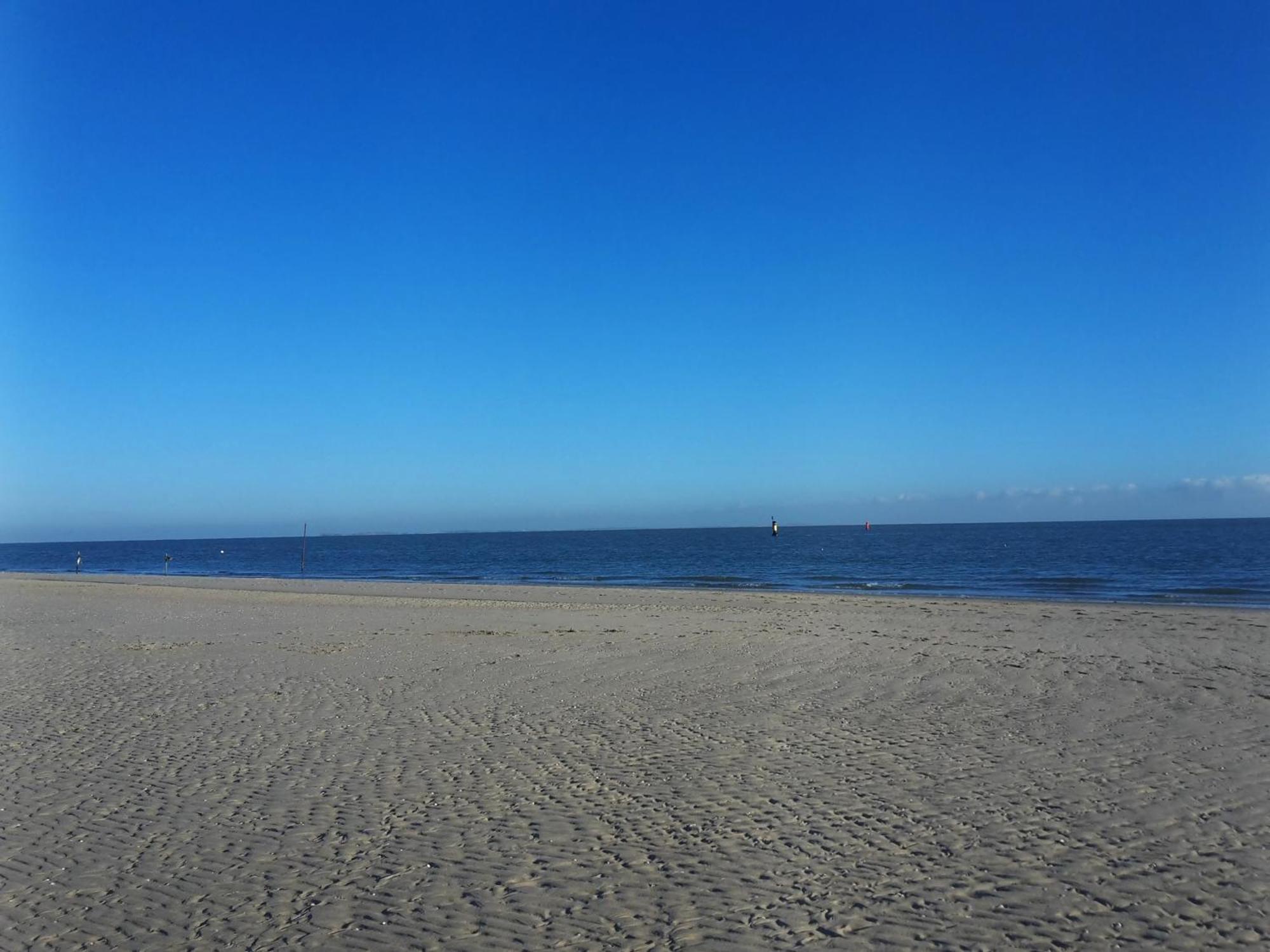 Private Logies Texel Woodart Midden-Eierland Exterior foto